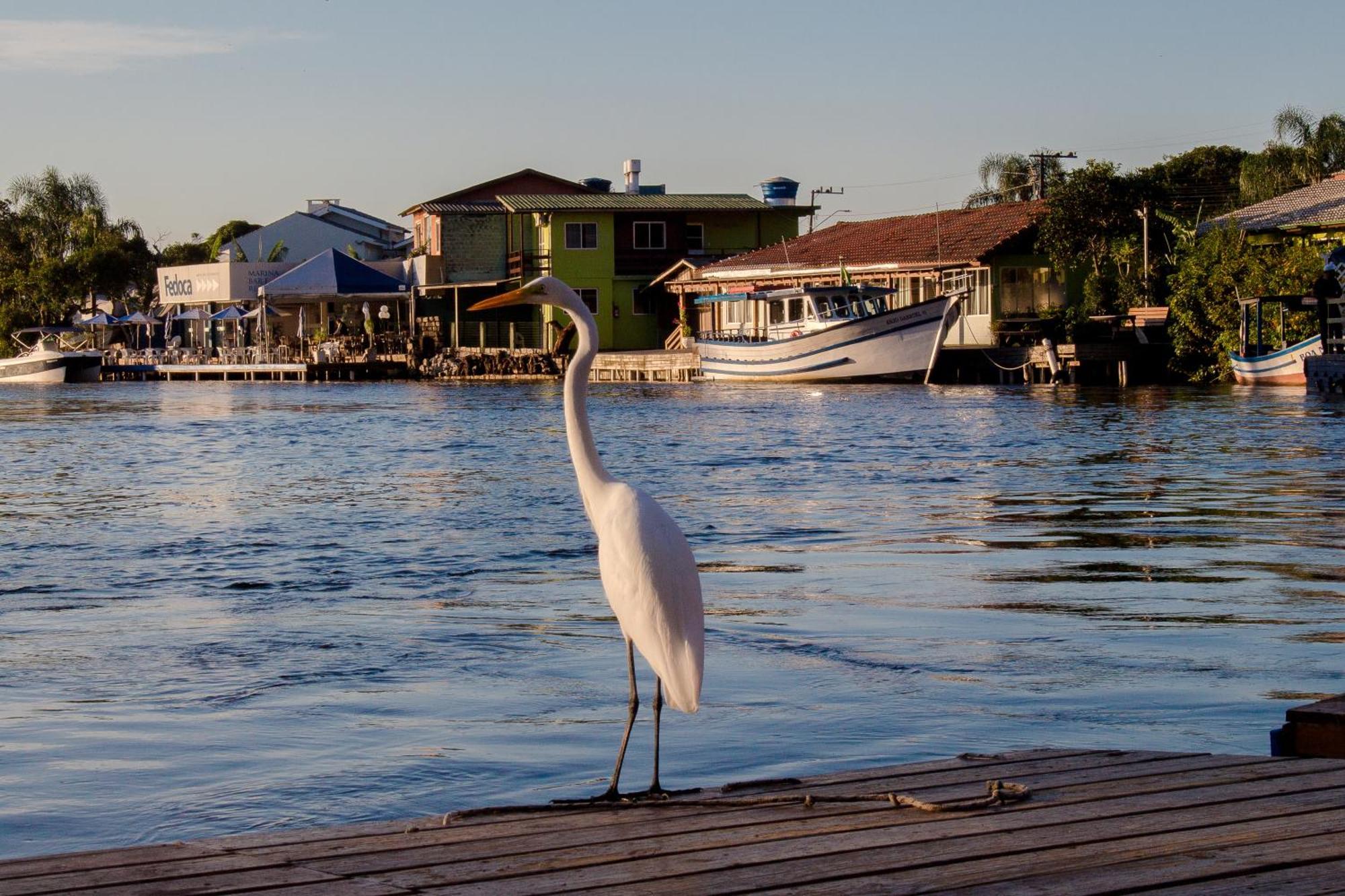 Pousada Quinta Da Margem Флорианополис Экстерьер фото